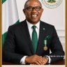 Profilbild von Ikechukwu Anusiem