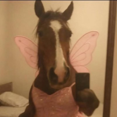 thỏ's profile picture