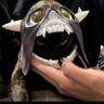 Profilbild von Lec g
