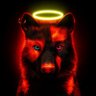 EJ🦊's profile picture