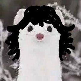 catarro de cu's profile picture