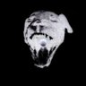 Profilbild von Rawt, the Bloodhound
