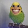 Nehemyah's profile picture