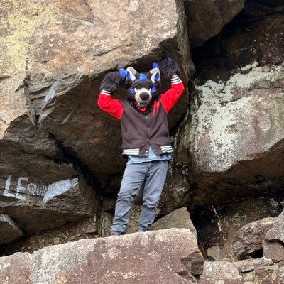 Skyway's profile picture