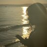 Dolle Diva's profile picture