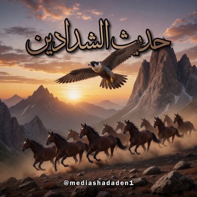 mediashadaden1's profile picture