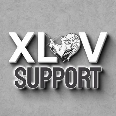 XLOV SUPPORT's profile picture