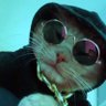 Profilbild von tal do ele é o tal