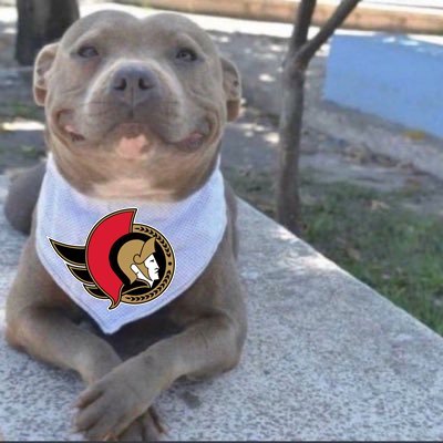 Josh's profile picture