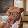 Фото профиля Cansei de ser nerd