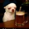 Sabi's profile picture
