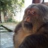 jon xi na profil fotoğrafı