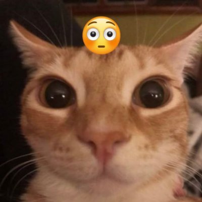 Coldzekby's profile picture