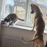 Фото профиля Dave