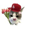 やってもたー's profile picture