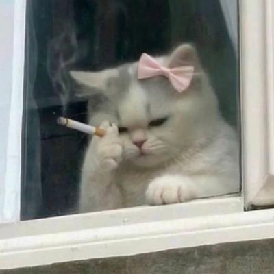 AdriaCiela's profile picture