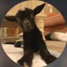 Kahri kardashian's profile picture