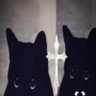 ♡ profil fotoğrafı
