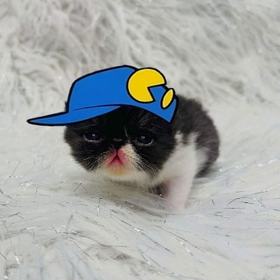 schmidley's profile picture