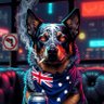 Profilbild von The Blue Heeler Supporter