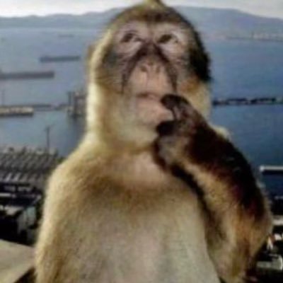 Asaf's profile picture