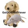 Profilbild von GolDOG RATriever
