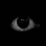 DEVİL's profile picture