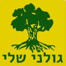 גולני 51 的头像