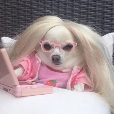 filixdontkill's profile picture