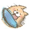 Profilbild von がはら