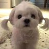 kanompang's profile picture