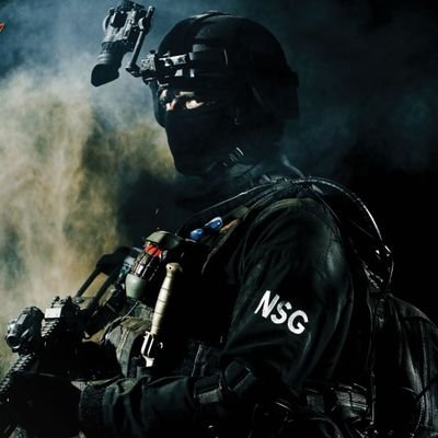 OSINT Spectator's profile picture