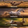 Crypto Bull profil fotoğrafı