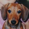 み's profile picture