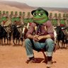 John Wayne Groyper's profile picture