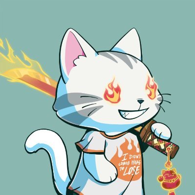 CasaVerilla's profile picture