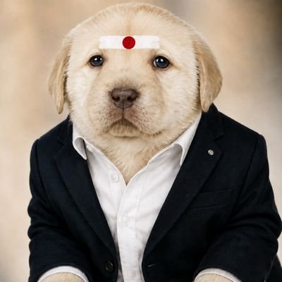 Raja VJ ッ's profile picture