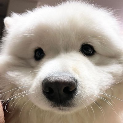 Кочутриманка Наталія Романівна's profile picture
