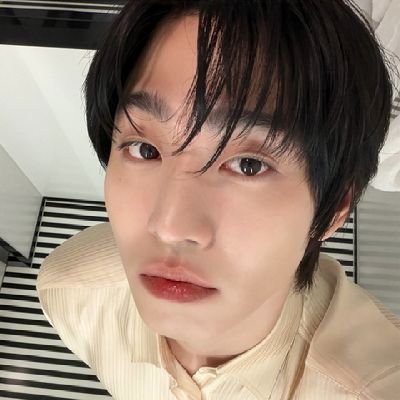 폴라리스💫's profile picture