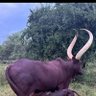 Dr Kwala Liwengo's profile picture