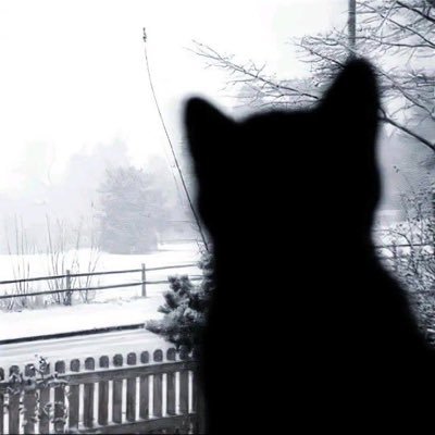 09”'s profile picture