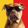 Profilbild von Mr. Courageous