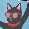 红镜猫's profile picture