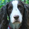 Libby's profile picture