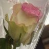Фото профиля なんだかんだ