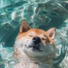 mellow : • 的头像