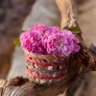 وردة بلادي🌸 profil fotoğrafı