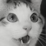 kinho_00's profile picture