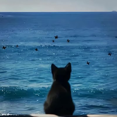 学长的信箱's profile picture