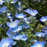 Фото профиля はとる
